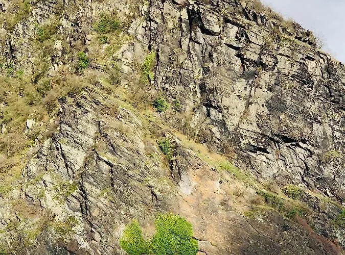 Apartment Loreley Mittelrheintal